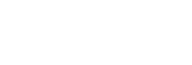 Vote Rev Action Fund
